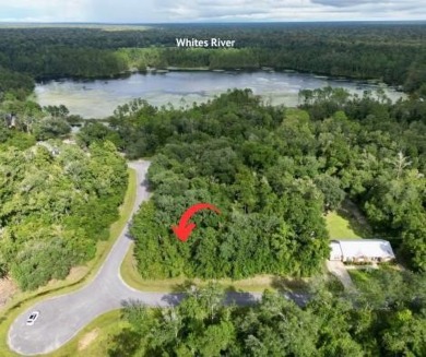 Lands Lake Lot For Sale in Wewahitchka Florida