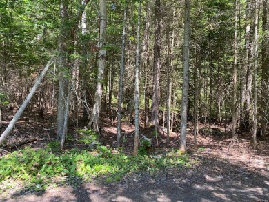 SANDY RIVER PLT - Wooded .94 acre lot in a private/quiet setting - Lake Lot For Sale in Sandy River Plt, Maine