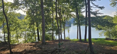 Lake Lot For Sale in Goodview, Virginia