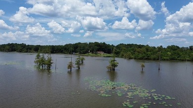LAKE FRONT ON TOLEDO BEND!!! Welcome to your private piece of - photo 5