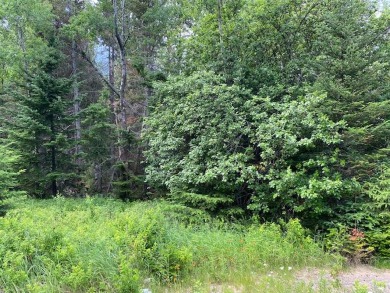 SANDY RIVER PLT - Well wooded 3 acre parcel with babbling brook - Lake Acreage For Sale in Sandy River Plt, Maine
