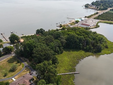 WATERFRONT & WATERVIEW ACREAGE: Beautiful, 3+ wooded acres near - photo 3