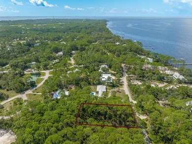 Discover your coastal paradise on this pristine 1st Tier Bay lot - photo 3