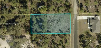 Lehigh Acres Area Lot For Sale in Lehigh Acres Florida