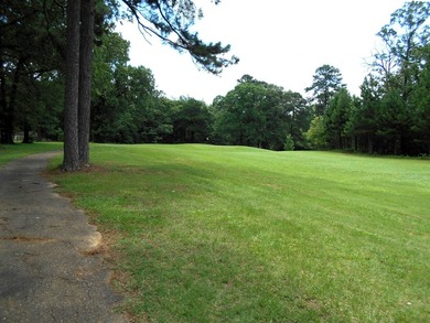 IF YOU LIKE GOLF OR FISHING THEN YOU WILL REALLY LIKE THIS - photo 12