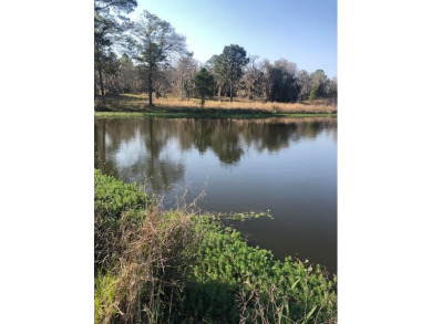 (private lake, pond, creek) Acreage For Sale in Hazlehurst Georgia