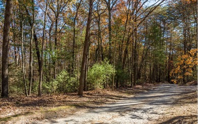 Lake Acreage For Sale in Ellijay, Georgia