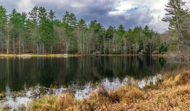 (private lake, pond, creek) Acreage For Sale in Hawley Pennsylvania