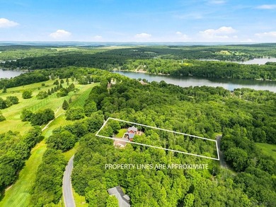 Spectacular Expedition Log home on three spacious lots in the - photo 48