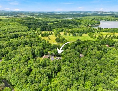 Spectacular Expedition Log home on three spacious lots in the - photo 49