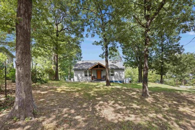 Lake Home For Sale in Houston, Arkansas