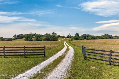 If you've been looking for usable acreage, a luxury log cabin, a - photo 4