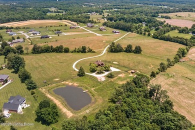If you've been looking for usable acreage, a luxury log cabin, a - photo 7