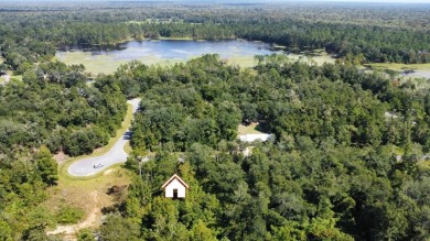 Lake Lot For Sale in Wewahitchka, Florida