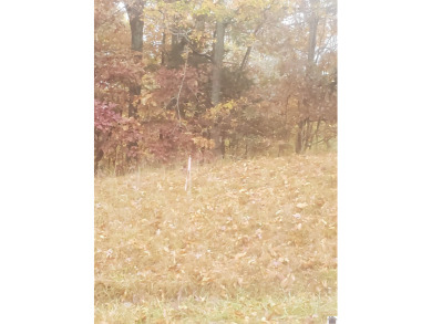 Lake Acreage Sale Pending in Eddyville, Kentucky