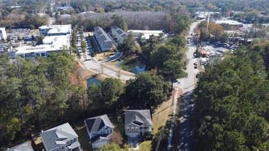 Welcome to 1301 Merchant Court--an exceptional home in one of - photo 45