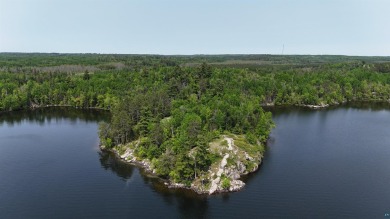 11.85 undisturbed and undeveloped acres and nearly a half mile - Lake Lot For Sale in Orr, Minnesota