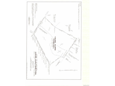 Beautiful 42+/- acres of opportunity await! This rare corner - photo 3