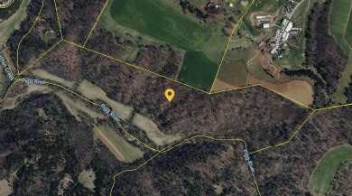 (private lake, pond, creek) Acreage For Sale in Rocky Mount Virginia