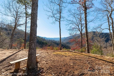 Lake Logan  Acreage For Sale in Canton North Carolina