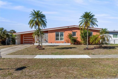 Port Charlotte Waterway Area Home For Sale in Port Charlotte Florida