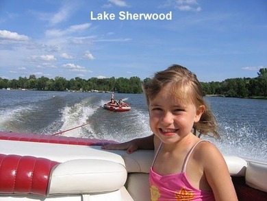 Two beautifully wooded home sites near Lake Petenwell - photo 11