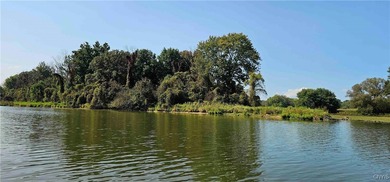 Hickory Island is a private island consisting of 53 acres - photo 12