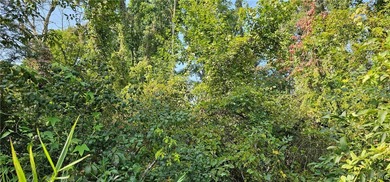 Hickory Island is a private island consisting of 53 acres - photo 14