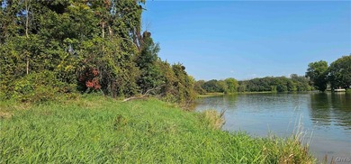 Hickory Island is a private island consisting of 53 acres - photo 16