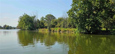Hickory Island is a private island consisting of 53 acres - photo 17