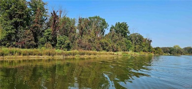 Hickory Island is a private island consisting of 53 acres - photo 18