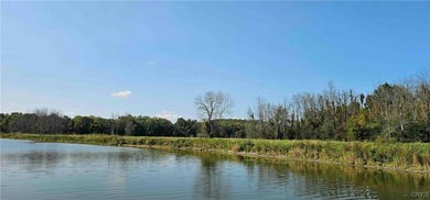 Hickory Island is a private island consisting of 53 acres - photo 19