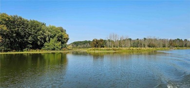 Hickory Island is a private island consisting of 53 acres - photo 21