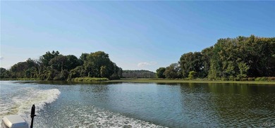 Hickory Island is a private island consisting of 53 acres - photo 23