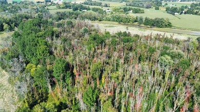 Hickory Island is a private island consisting of 53 acres - photo 25