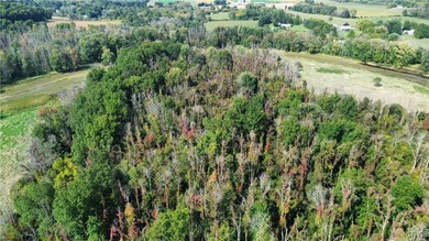 Hickory Island is a private island consisting of 53 acres - photo 26