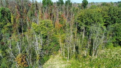 Hickory Island is a private island consisting of 53 acres - photo 28