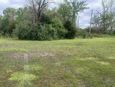Four combined lots with sewer available and beautiful build - photo 4