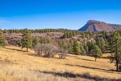 Lake Lot For Sale in Durango, Colorado