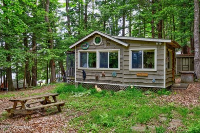 Lake Home For Sale in Day, New York