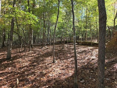 Coosawattee River - Gilmer County Lot For Sale in Ellijay Georgia