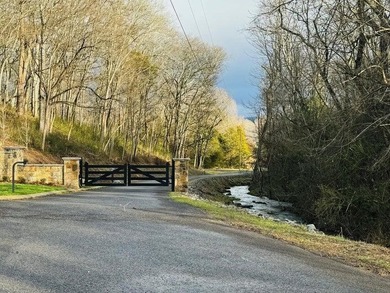 Stunning 1.93-acres (2 lots) with beautiful mountain views in - photo 12