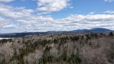 Prime Building Lot in Rangeley Plantation, ready for your - photo 7