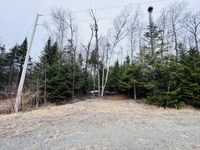 Prime Building Lot in Rangeley Plantation, ready for your - photo 8