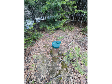 Prime Building Lot in Rangeley Plantation, ready for your - photo 9