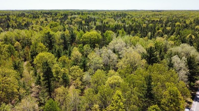 Lake Michigan - Manistee County Acreage For Sale in Manistee Michigan
