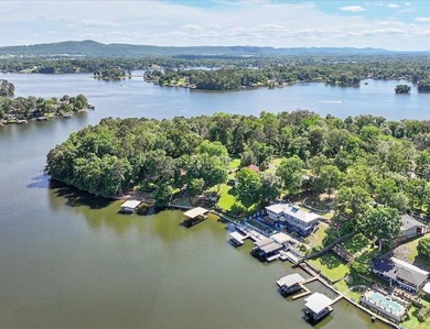 Experience Lake Hamilton living in highly desirable Moonlight - photo 3