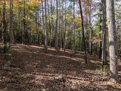 Lake Acreage For Sale in Union, Georgia