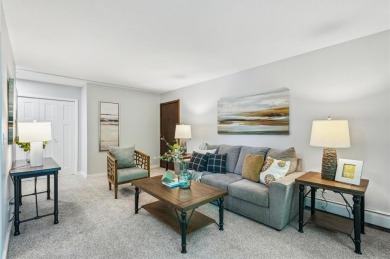 Lake Condo For Sale in Mound, Minnesota