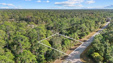 Port Charlotte Waterway Area Lot For Sale in Port Charlotte Florida